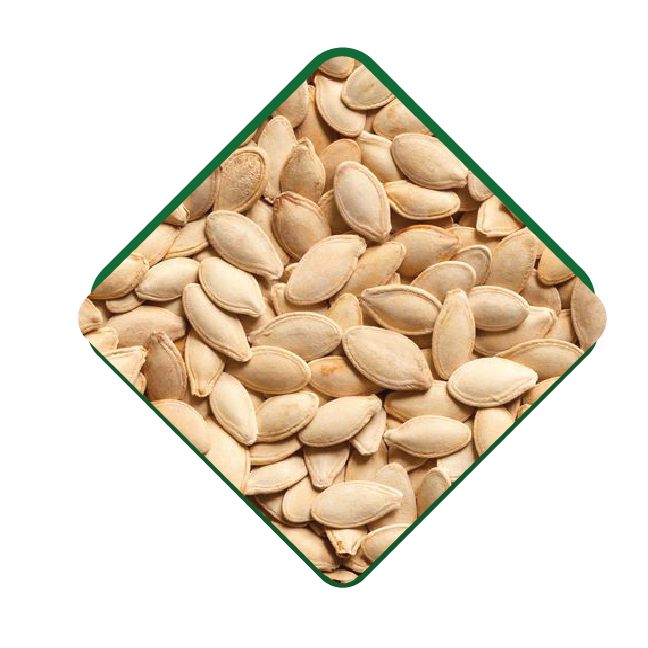 Raw Pumpkin Seed